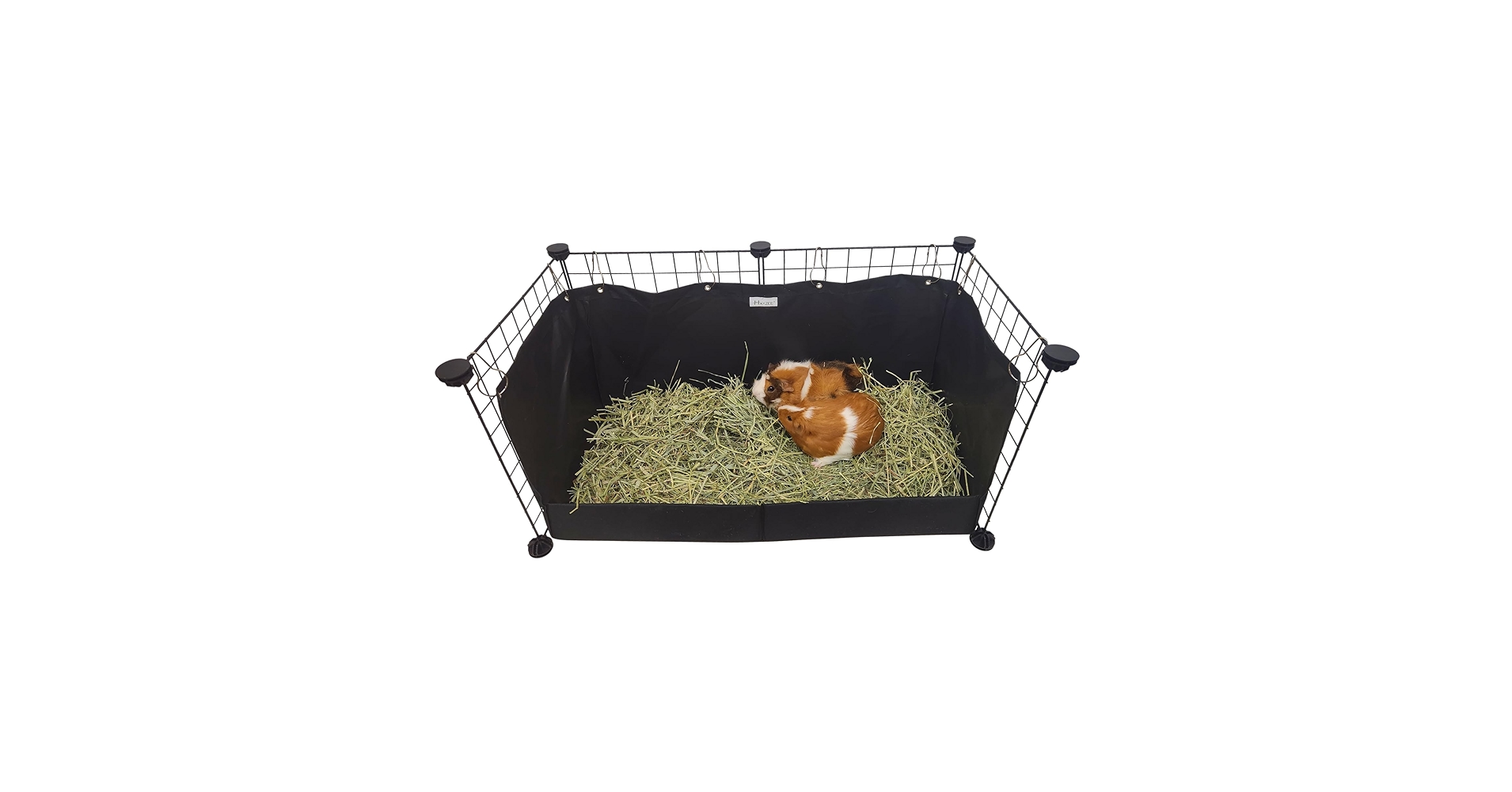 ヘイ HAY BOX BOX Amazon.com : Hayzee Original Guinea Pig Hay Holder Feeder