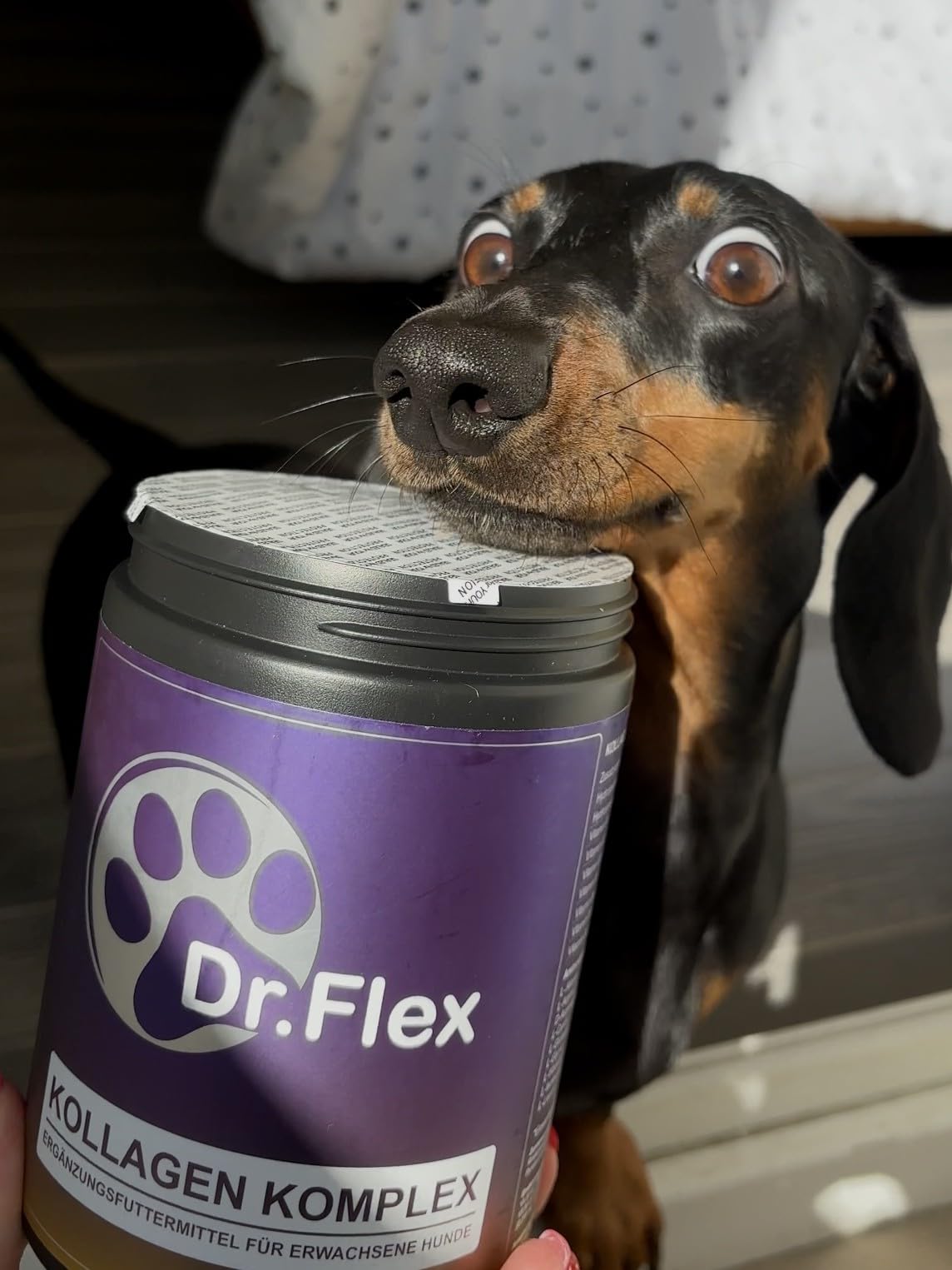 Dr. Flex Kolagen dla Psów + Kompleks Witaminy B – 300 g proszku z 4500 mg kolagenu wołowego i 500 mg hydrolizowanego kolagenu morskiego Typ I, II, III – witaminy B12, B1, B2, B3, B5, B9