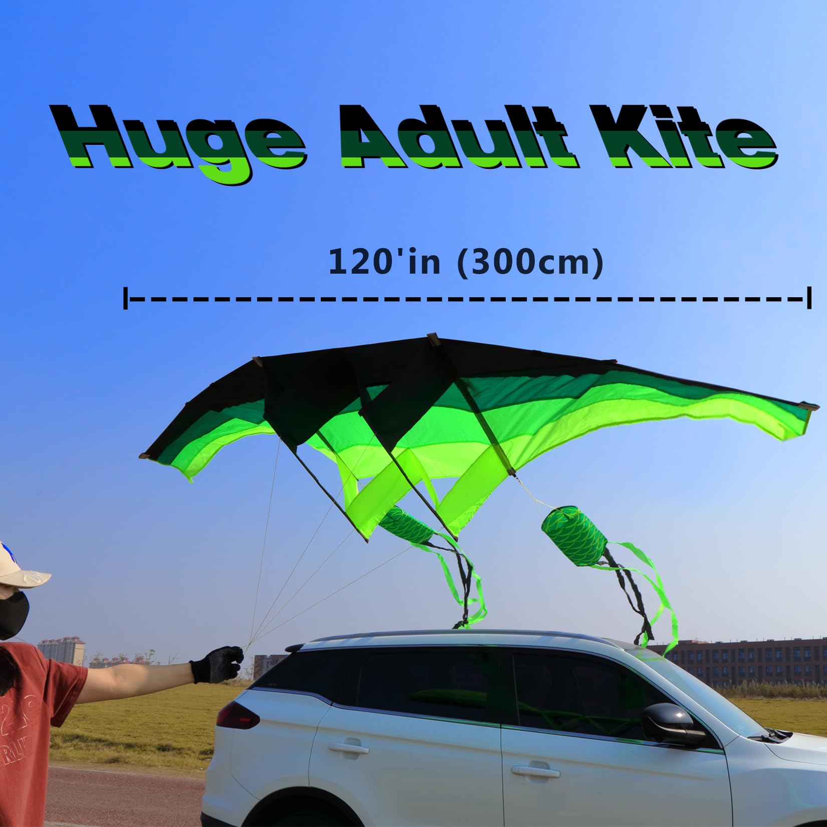 TianYueFly Huge 3D Adult Gliders - 120" Giant Single Line Kite with Two 17ft 3D Kite Tails for Beach - Image 2