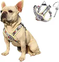 Coleira Peitoral Ajustável para Cachorros com Guia de Passeio e Bordas Reflexivas (Amarelo, P)