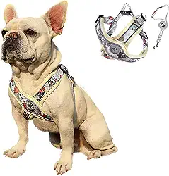 Coleira Peitoral Ajustável para Cachorros com Guia de Passeio e Bordas Reflexivas (Amarelo, P)