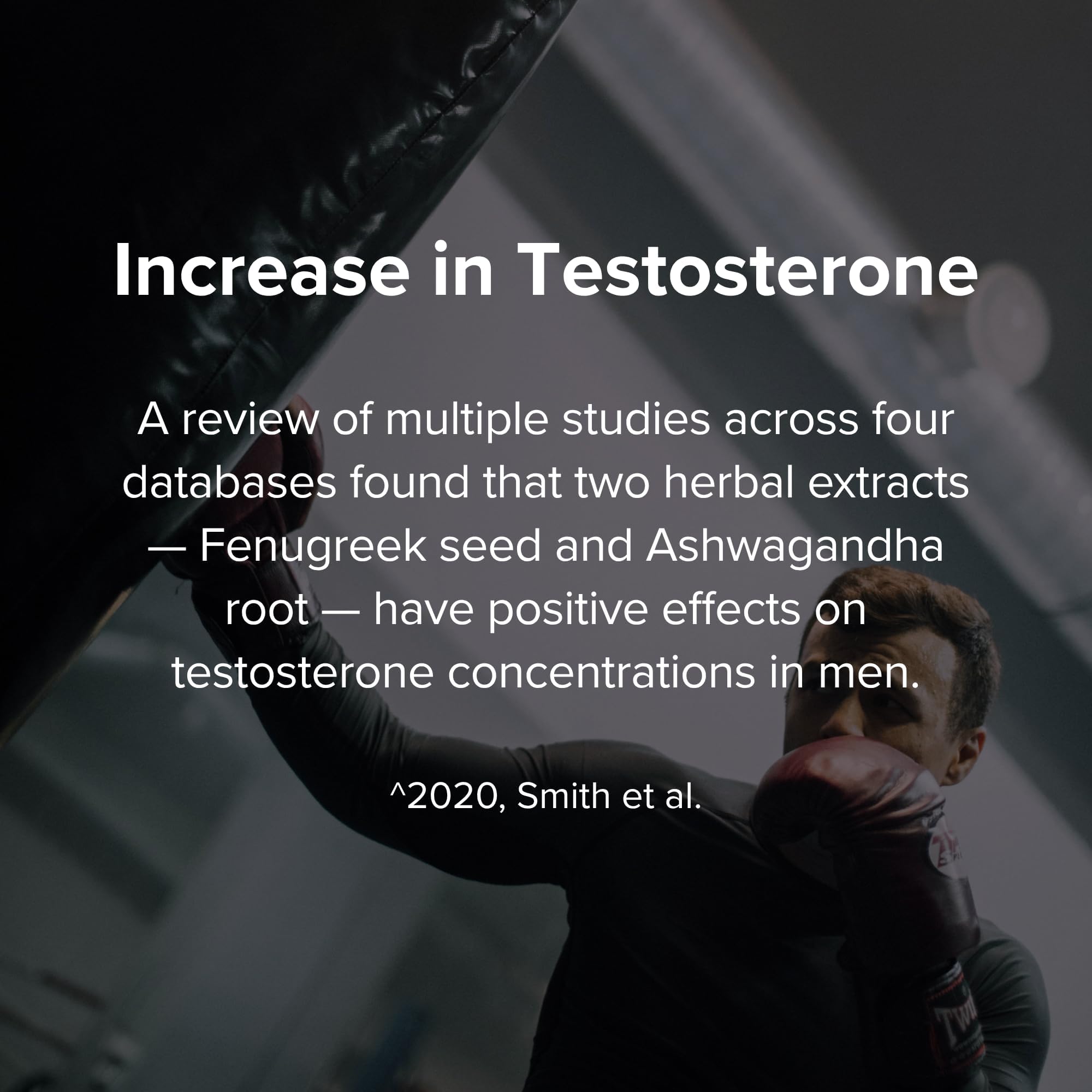 Peak Potential 12-in-1 Testosterone Support for Men — Amazon image 8