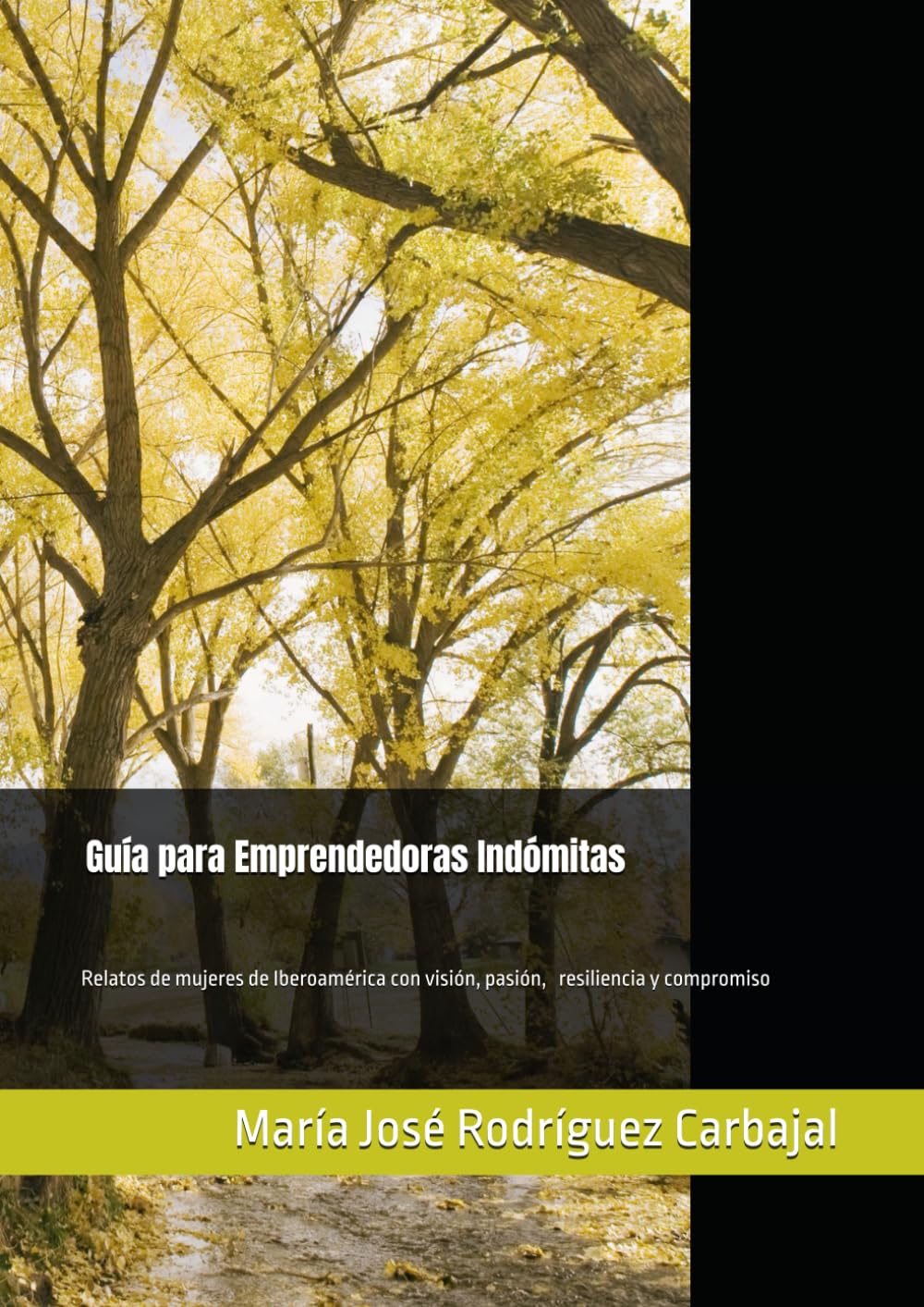 Guía para Emprendedoras Indómitas: Relatos de mujeres de Iberoamérica con visión, pasión, resiliencia y compromiso