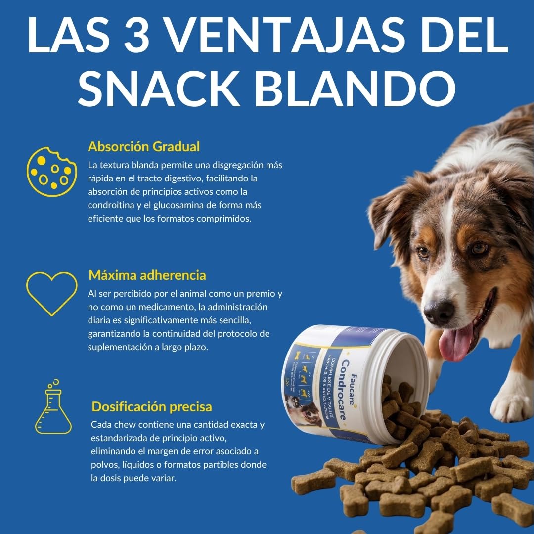 Condroprotector Perros 360 Uds (1 Año) Colágeno Magnesio y Calcio, Mantenimiento Articular, Glucosamina, Condroitina, Cúrcuma, Vitality Complex para Movilidad, Huesos. Faucare