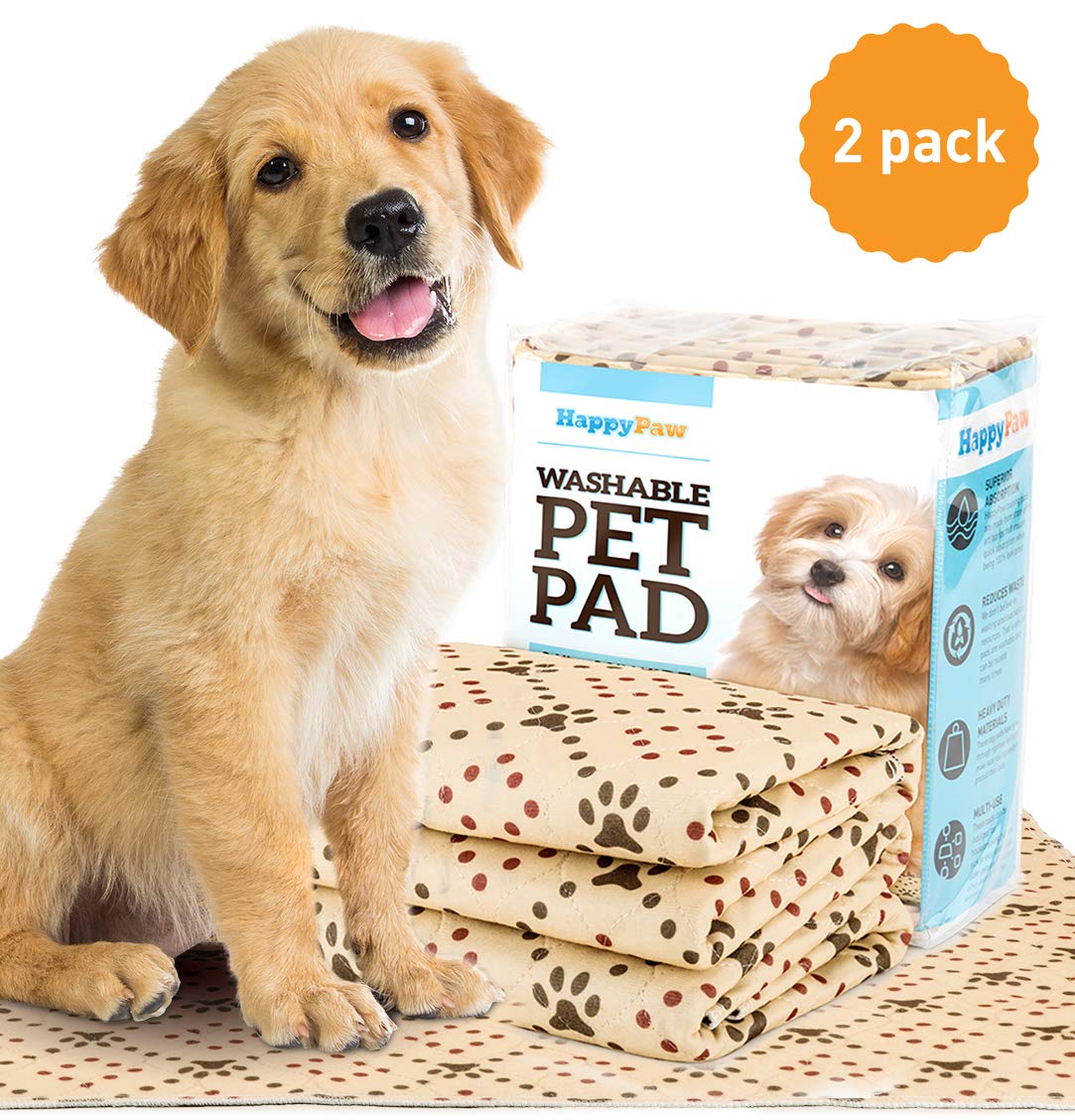 lurcher collars amazon