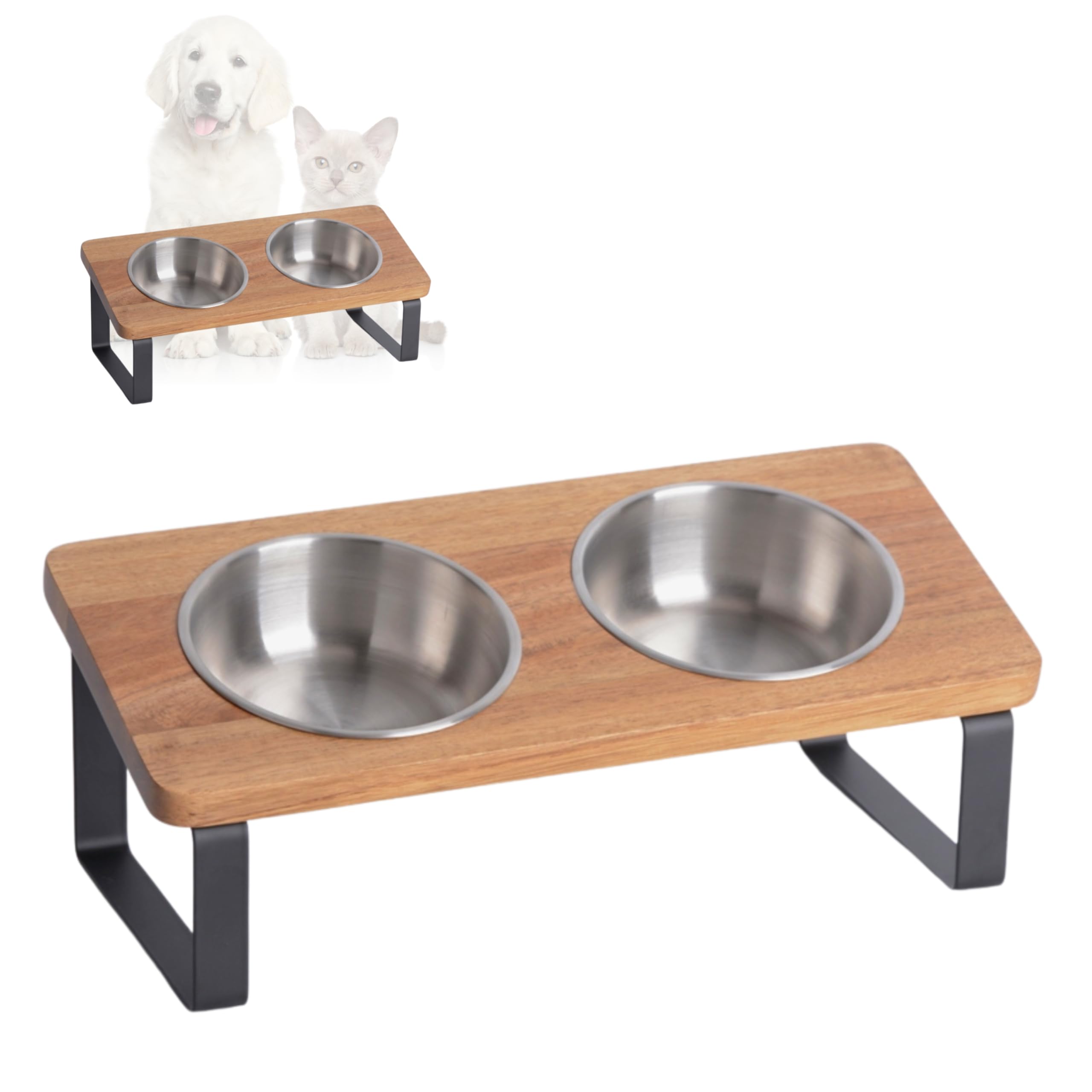 PETLINUS Elevated cat bowls, Ergonomic cat bowls with stand tilted, Dog bowls for small dogs puppies and cats