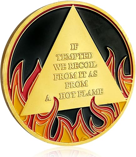 Miniatura 10 de Monedas AA y medallones de chips de sobriedad de llamas de 1 año, regalos de sobriedad para hombres y mujeres (año I)