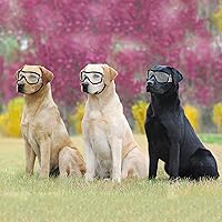 Vista 7 de ENJOYING Gafas de sol transparentes para perros medianas, antirayos UV, para perros medianos, a prueba de niebla, resistentes al viento, a prueba