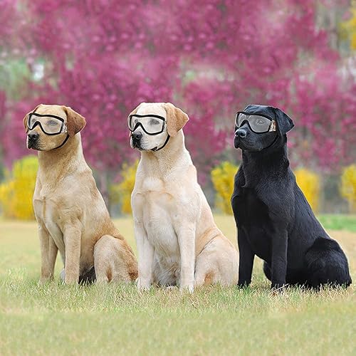Miniatura 7 de ENJOYING Gafas de sol transparentes para perros medianas, antirayos UV, para perros medianos, a prueba de niebla, resistentes al viento, a prueba de