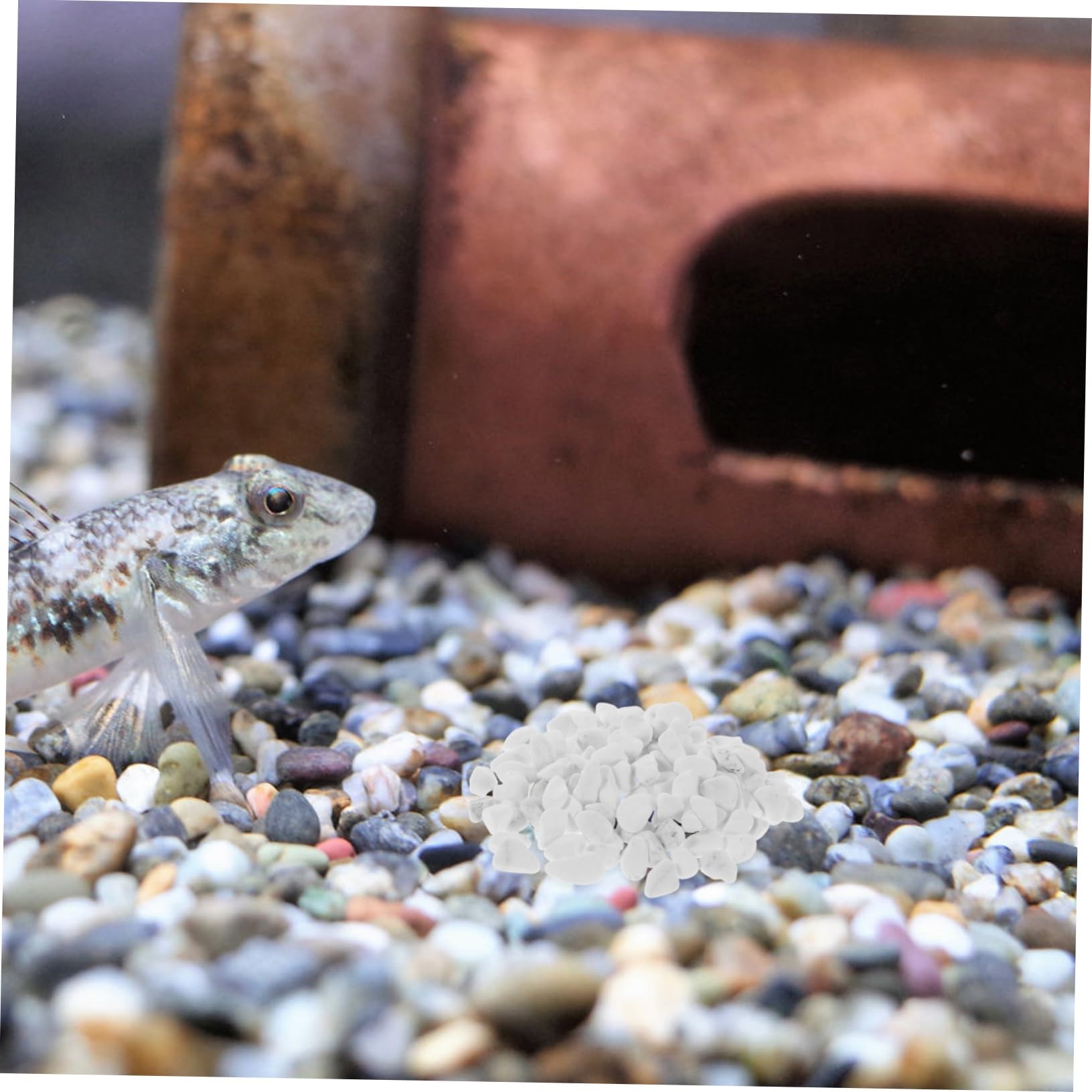Toyvian Ciottoli Decorativi Chiari in Roccia per Contenitore e Acquario, Set Grande Quantità per Paesaggistica Esterna e Arredamento Giardino Funzione Riflettente e Manutenzione Ridotta