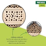 Ver la foto 3