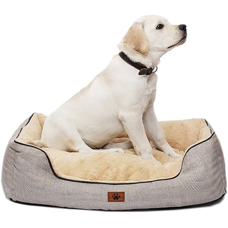 petbarn dog beds
