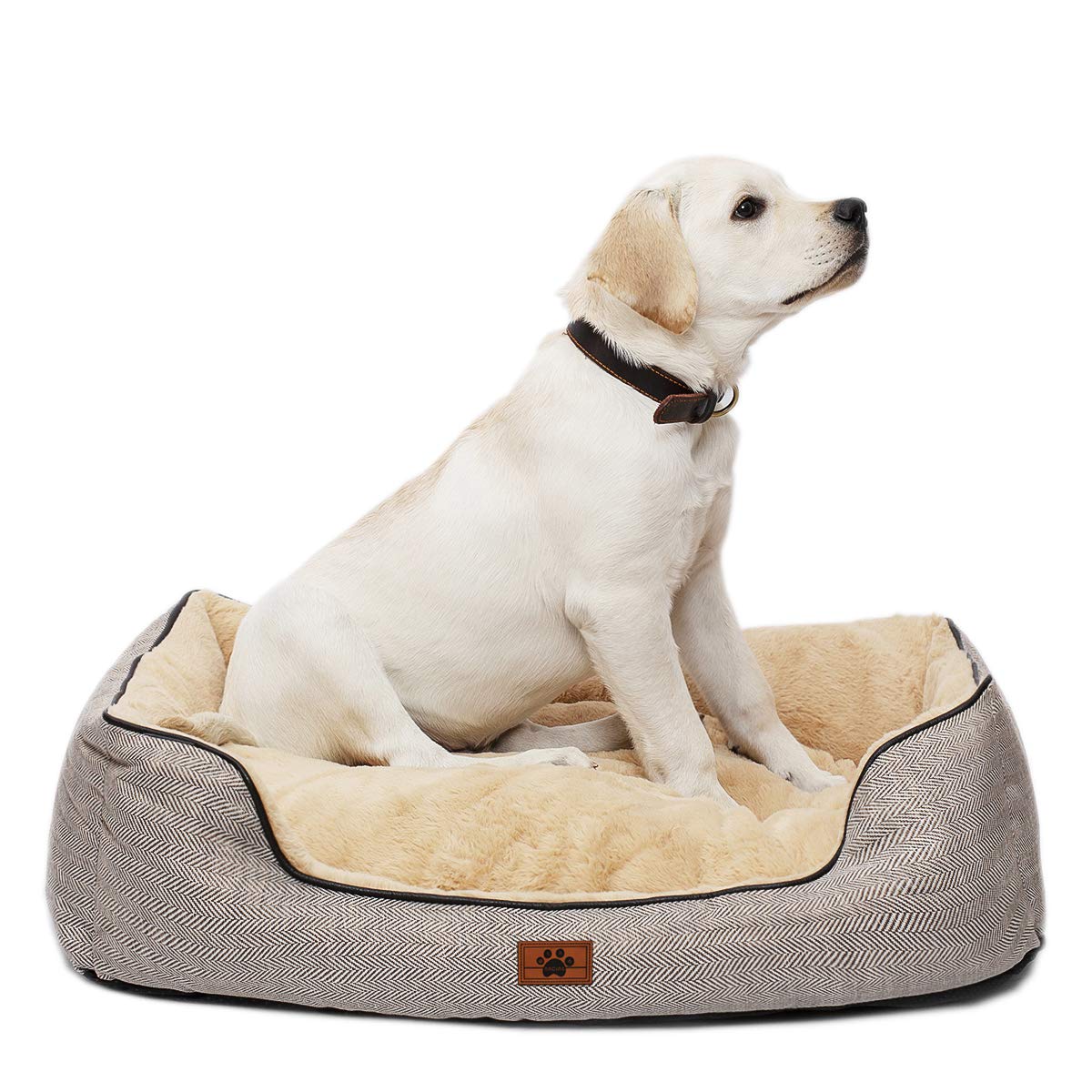 non chew dog bed