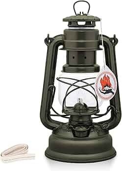 71W6MqKZ9qL._AC_UF350,