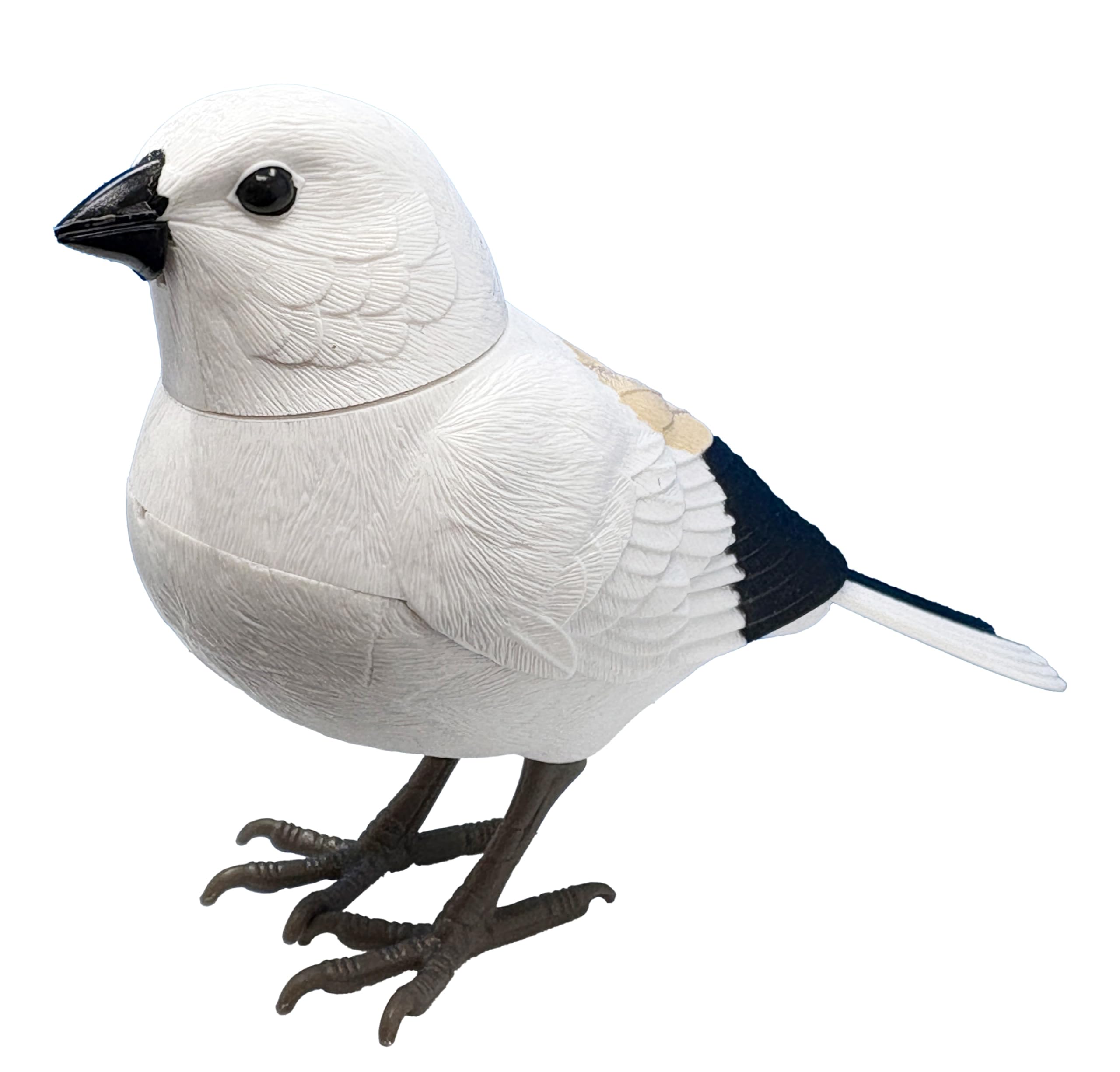 Amazon.co.jp: TKSK 日本の野鳥ミュージックバード シマエナガ 電池