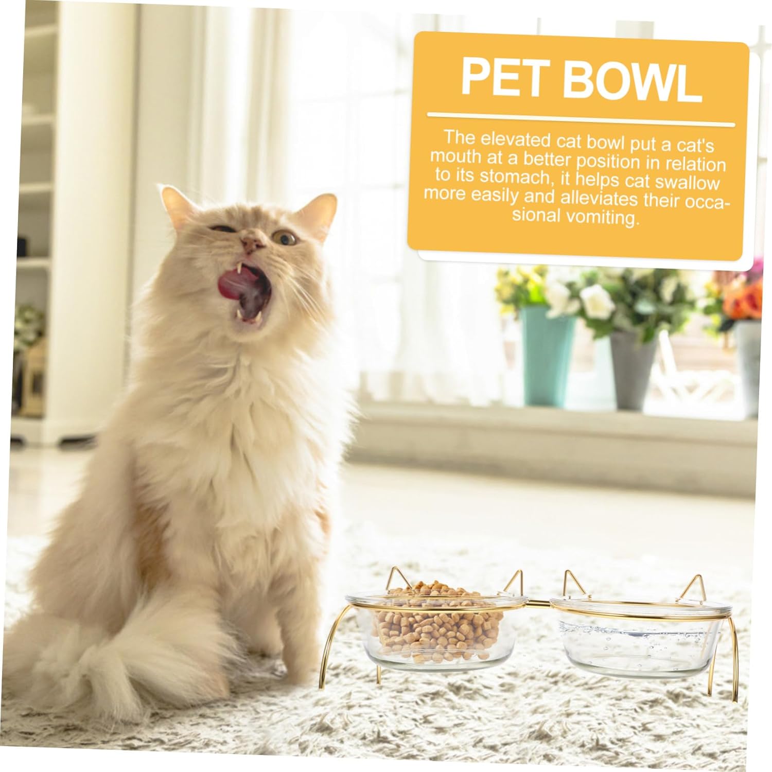 Elevated Cat Food Bowl with Tilted Design Transparent Double Bowls and Iron Stand High Base Feeder for Pets Neck Protective Dish to Reduce Strain and Minimize Food Residue