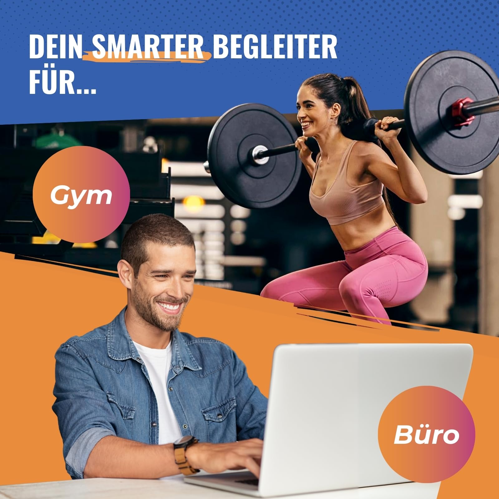 HANS Brainfood High Protein Cookie Schokolade 1400g (36x35g) mit weniger als 1 Gramm Zucker und 8g Protein pro Cookie - Proteinriegel, Low Carb, Schoko - Protein-Bar ohne Zucker