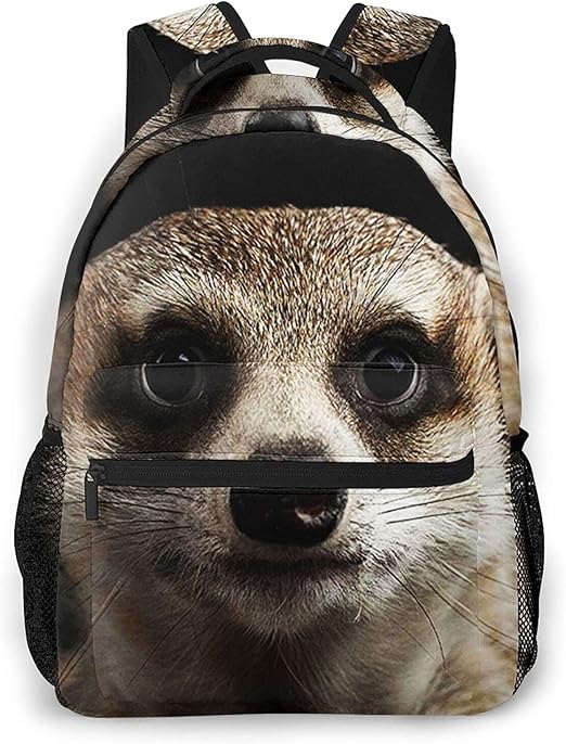 School Backpack for Boys Girls, HAOSOFT College Laptop Bookbags Fashion