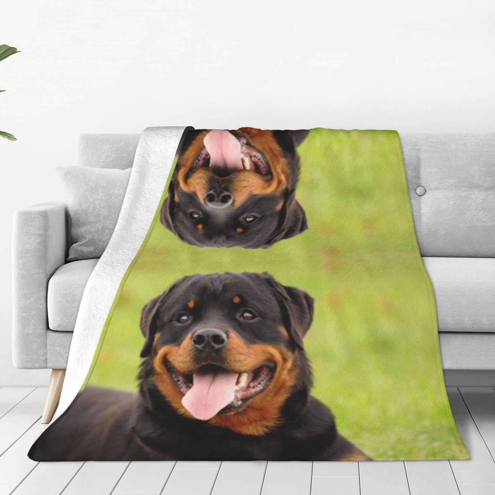 Couverture rottweiler premium en flanelle polaire chaude haute densité