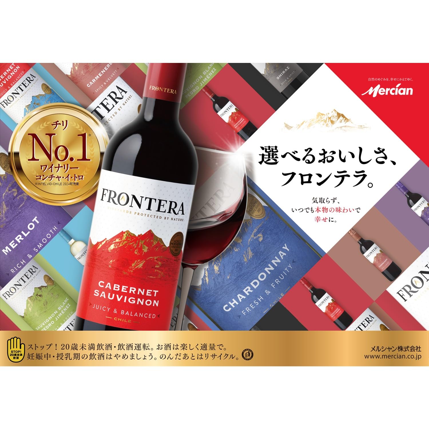 Amazon.co.jp: ボックスワイン 3Lチリ赤ワインミディアムボディ