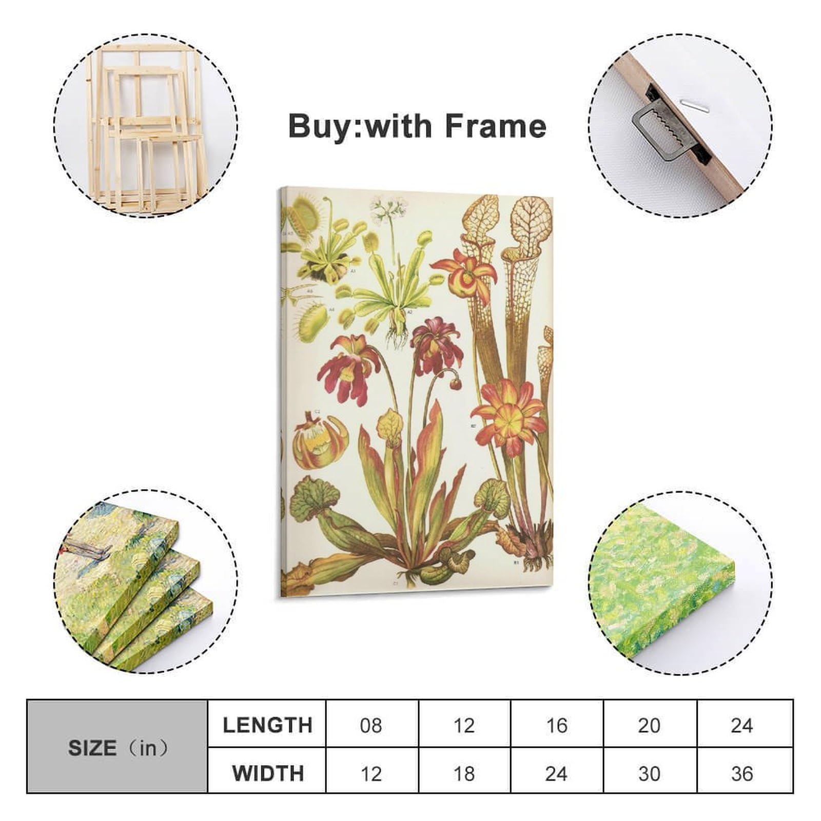 Poster Rétro Avec Plantes Végétales - Décoration Murale Moderne Pour