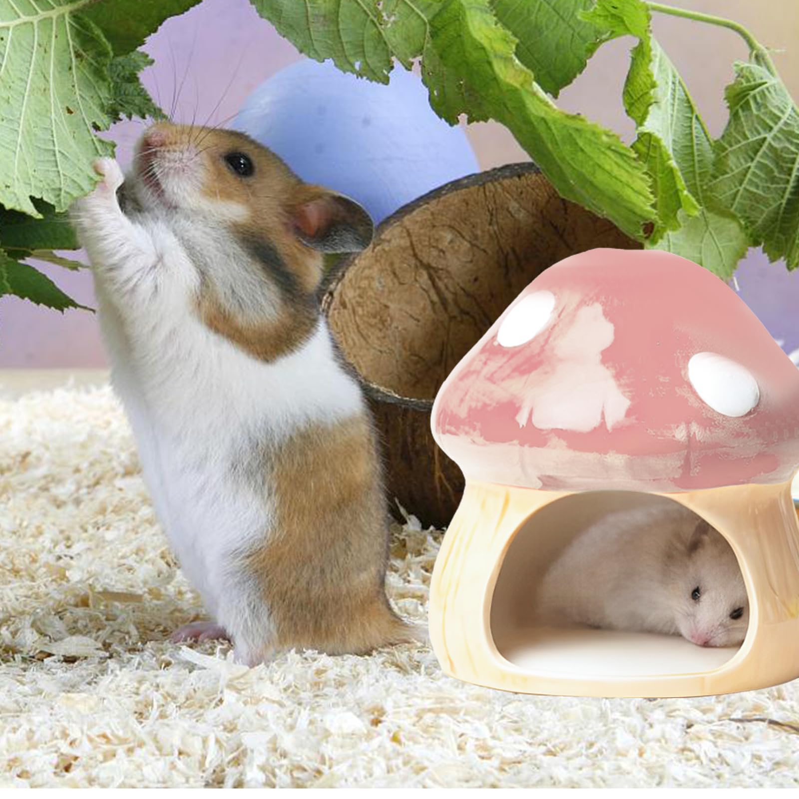 Nizirioo Niche unique en céramique pour hamster : cachette durable pour hamster, cabane et jouet dentaire, tunnel en forme de champignon, grandes entrées pour gerbilles, souris, chinchillas (rose)