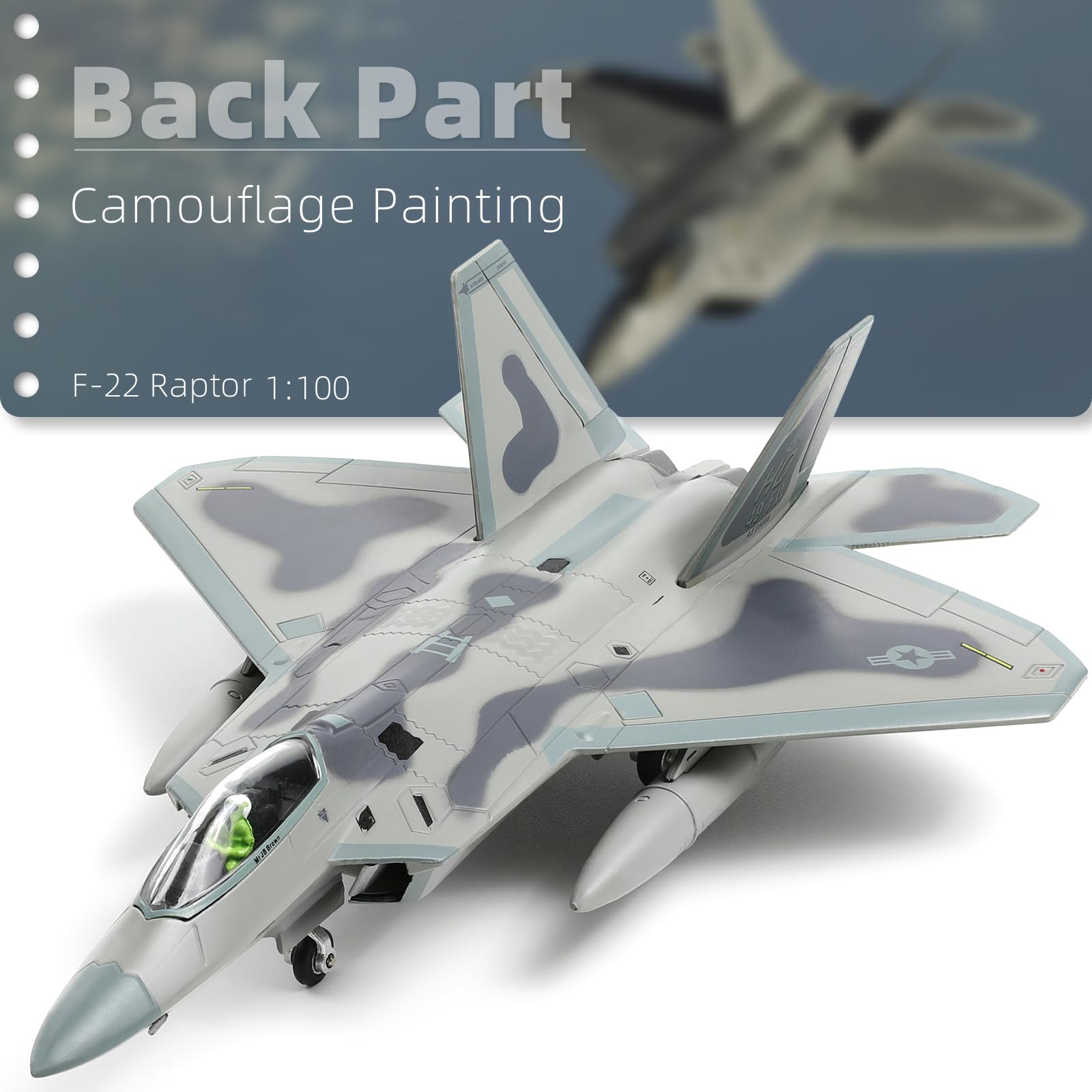 NUOTIE F22 Raptor Maßstab 1/100 Druckguss-Metall-Kampfflugzeug, Stealth-Kampfflugzeug, Luftwaffe, Flugzeugmodell mit Ständer, für Militärsammlungen oder Geschenk (HO 49th FW)