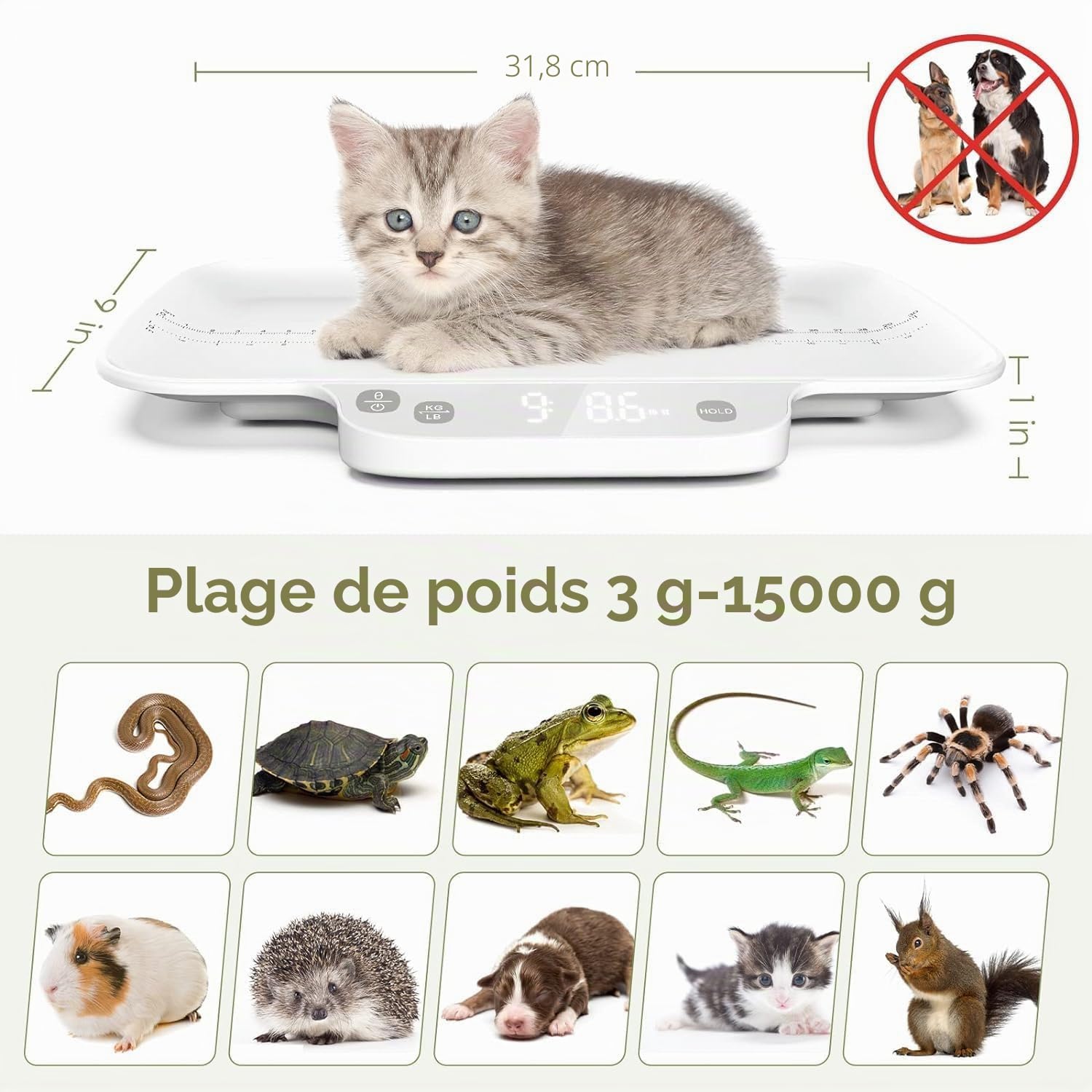 Balance pour chiots et petits animaux, précision 1 g, poids max. 15 kg