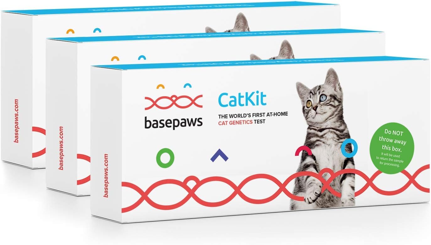 Basepaws Cat DNA Test Kit | Breed + Health Report | Wild Cat Index | 21 Cat Breeds & 4 Breed Groups | 38 Genetic Markers | As Seen On Shark Tank and Ellen’s List | 3 Pack