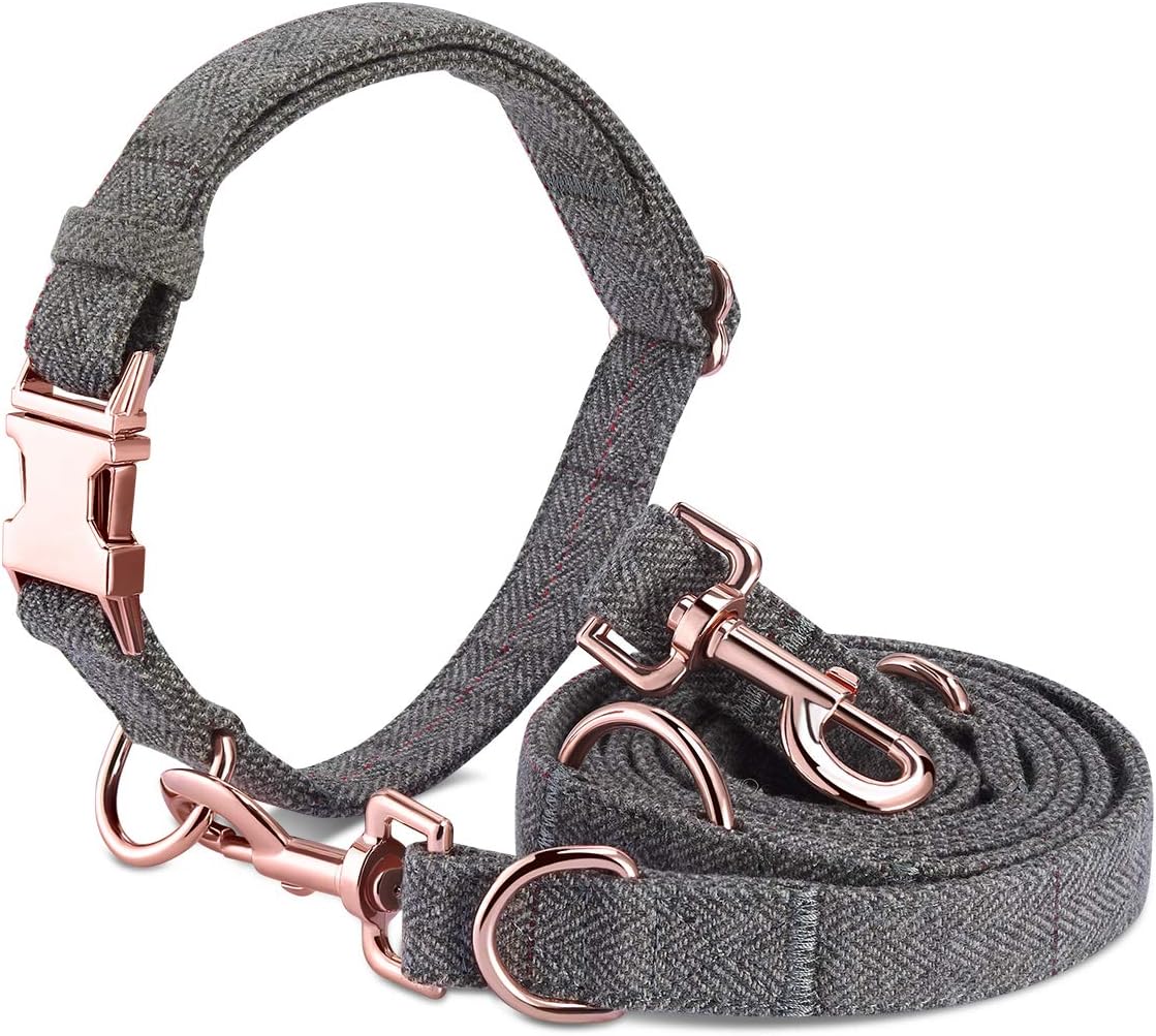 dog leash set