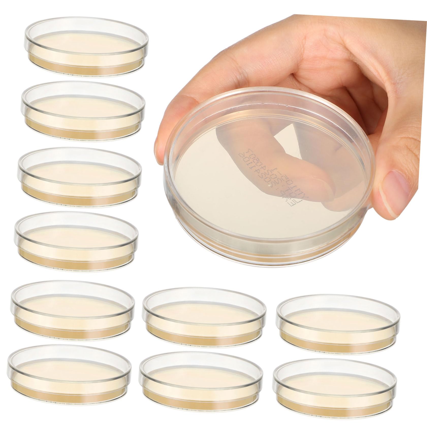 SHINEOFI 10 Placas de Petri con Agar Nutritivo de 7 Cm, con Agar Prevertido, Ideales para Proyectos Escolares, Investigación Y Experimentos Científicos.