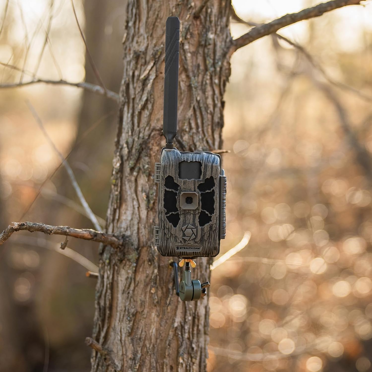 Stealth Cam Deceptor MAX mounted on a tree