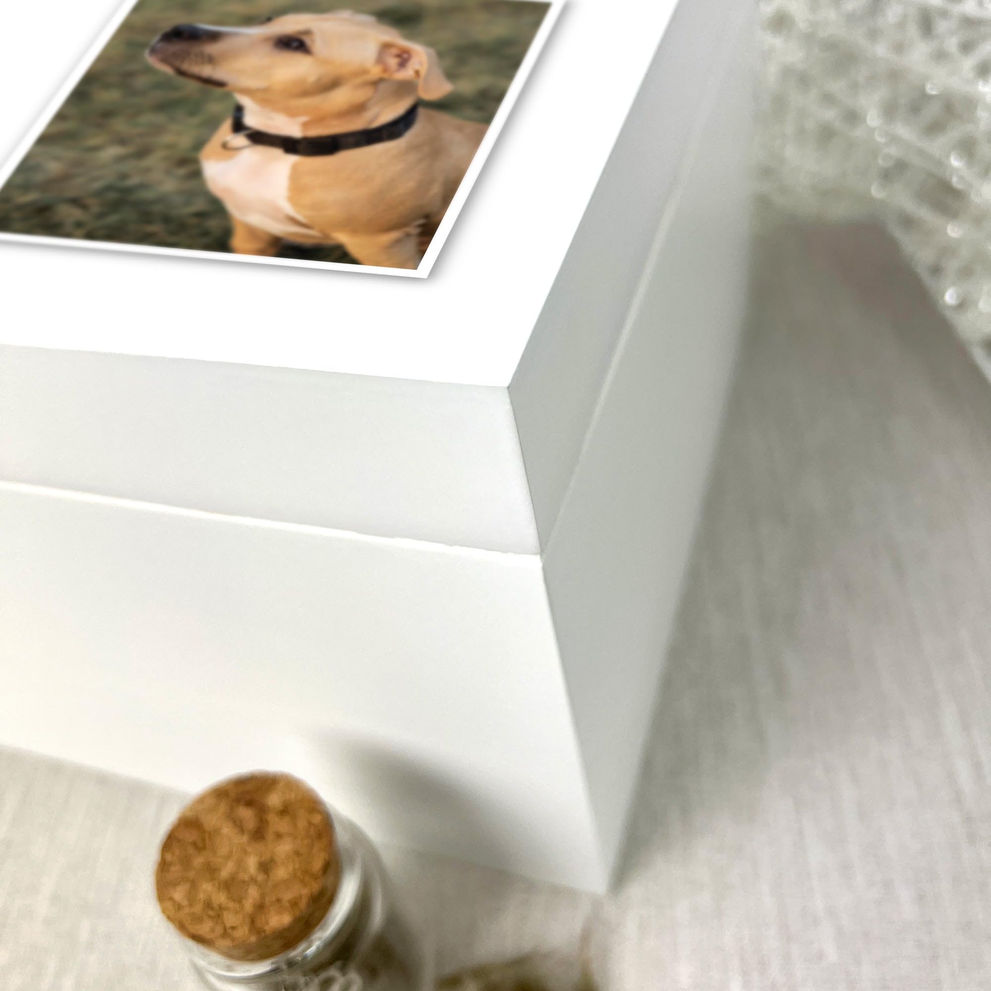 Caja de recuerdo de madera blanca personalizada para fotos de mascotas, regalo de condolencias por la pérdida de mascotas, 27 x 19 x 14 cm
