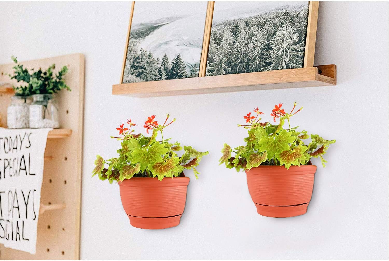 T4U Wall Planter Pots Outdoor Use Plastic 6 Inch Red Set of 2, Small Self Watering Wall Mounted Flower Plant Basket for Home Garden Porch Balcony Kitchen Wall Decoration Wedding Gift
