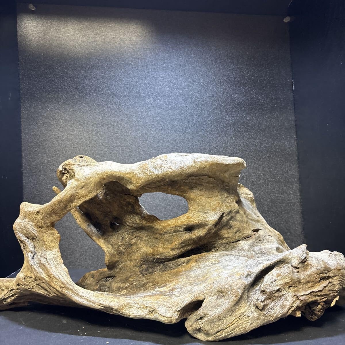 バッジ（ピン・缶）セット【コンパクト送料無料・匿名配送】ニコロビン　出品№11 バッジ（ピン・缶）セット【コンパクト送料無料・匿名配送】ニコロビン