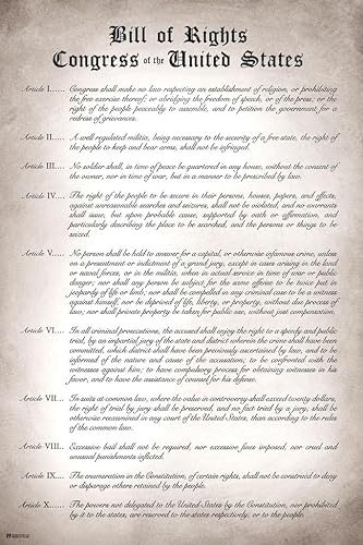 Carta de Derechos Versión legible Remasterizada Diez Enmiendas Constitucionales Estados Unidos América Documento histórico Historia educativa Aula