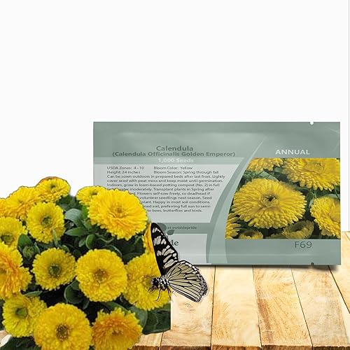 Outsidepride Calendula Officinalis Golden Emperor Pot - Semilla de flores de jardín de caléndula - 1000 semillas