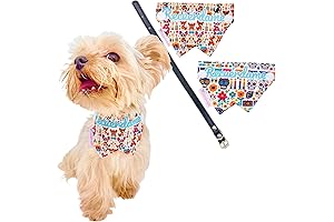 YorkieGogo Teacup Dogs Tea Cup Costume