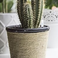 Vista 7 de BESTOYARD 20 indicadores de nivel de agua para maceta, recordatorios de escasez de agua, medidor para jardín, interior, plantación de invernadero