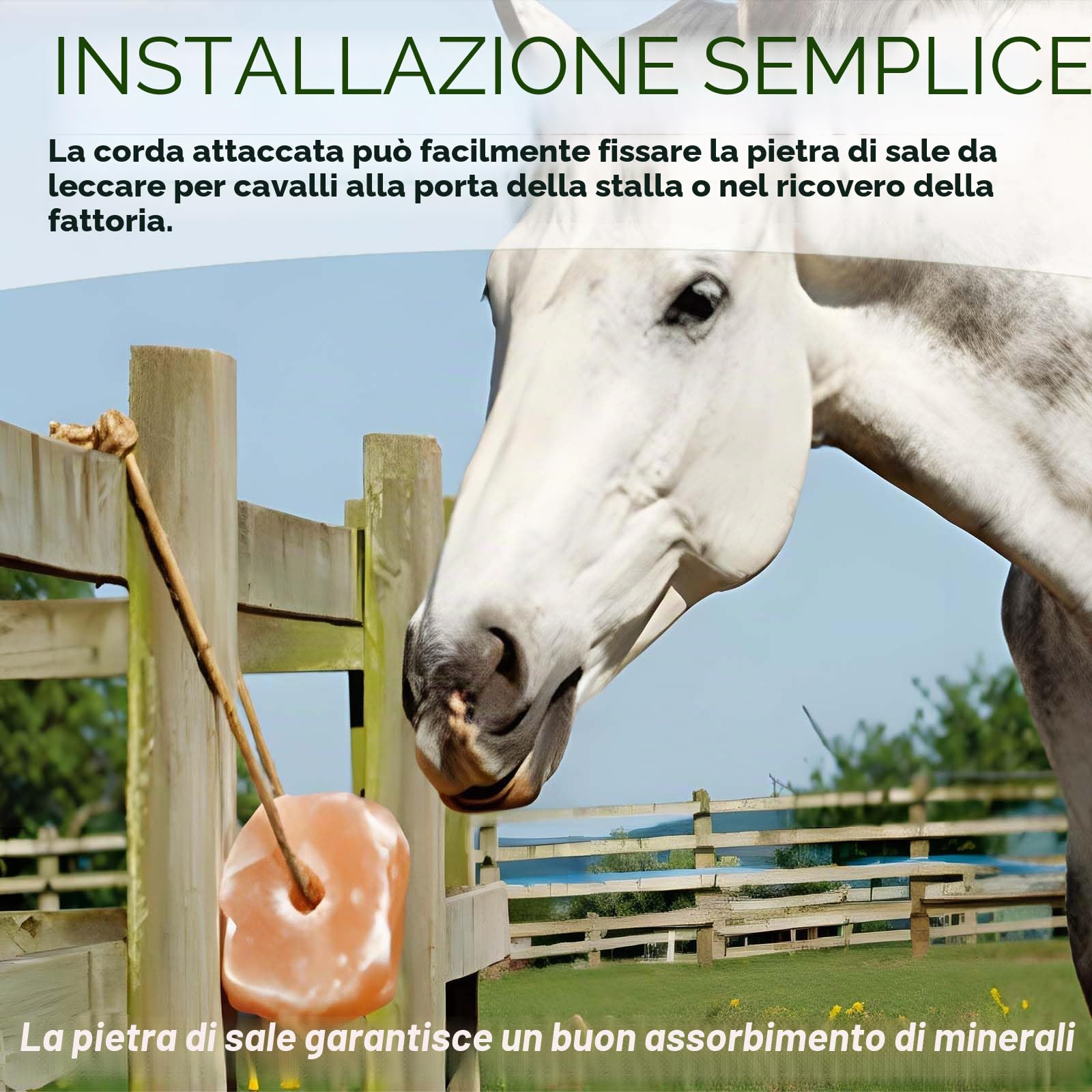 Blocco di Sale dell'Himalaya per Cavalli 1.7kg, Sali Minerali Naturali per Cavallo, Bovini, Caprini, Cervo