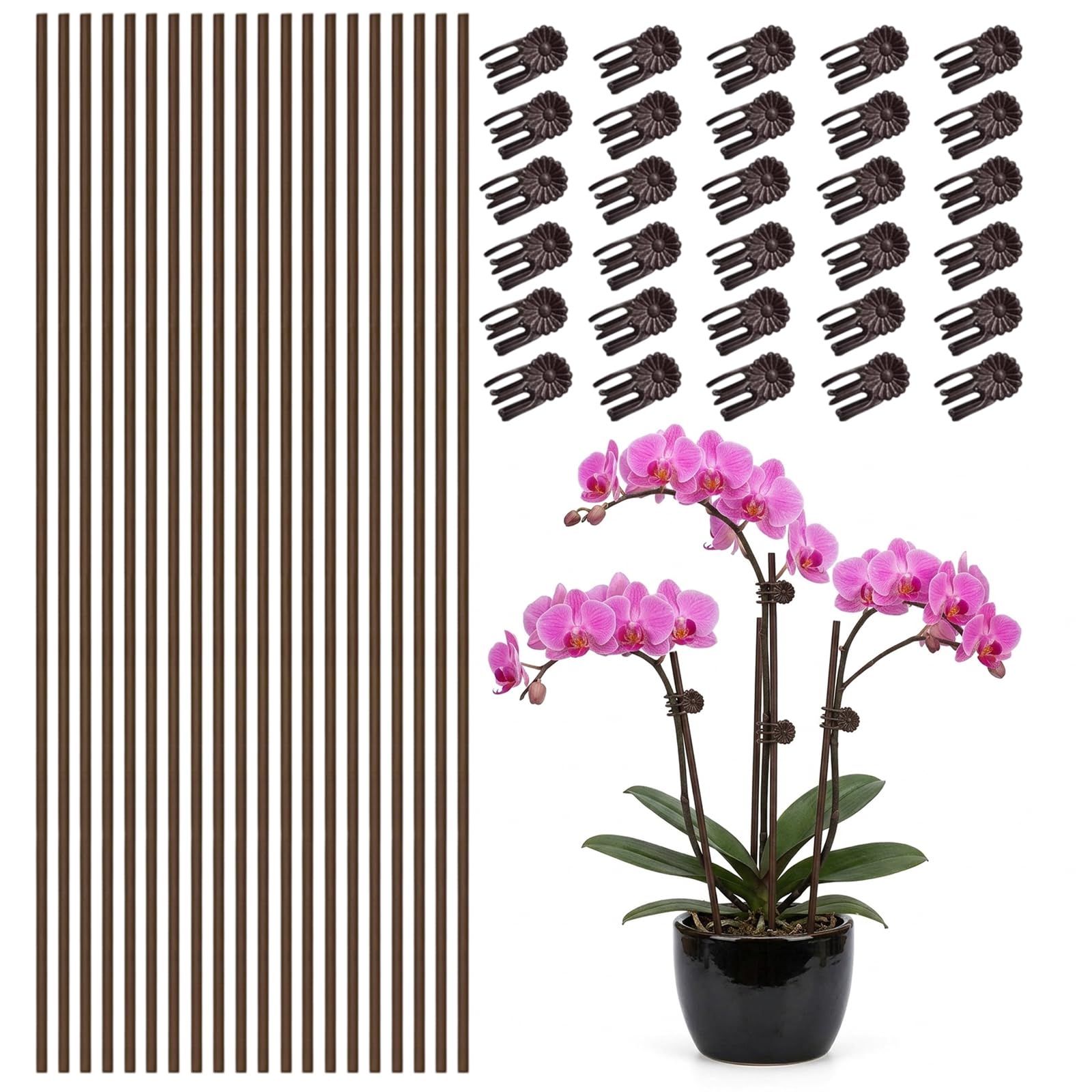 Plant Clips, Plant Support Sticks, Orchid Clips and Supports Set, Plant Support Stakes and Clips for Garden Plants, 20pcs 40cm Brown Sticks with 30 Flower Clips(Brown)