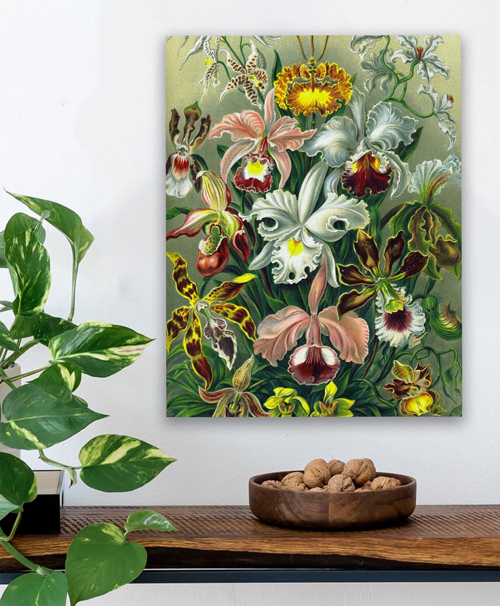 MyPuzzle 1000 Piece Jigsaw Puzzle - 'Orchid' Vintage Art By Ernst Haeckel, Made In USA