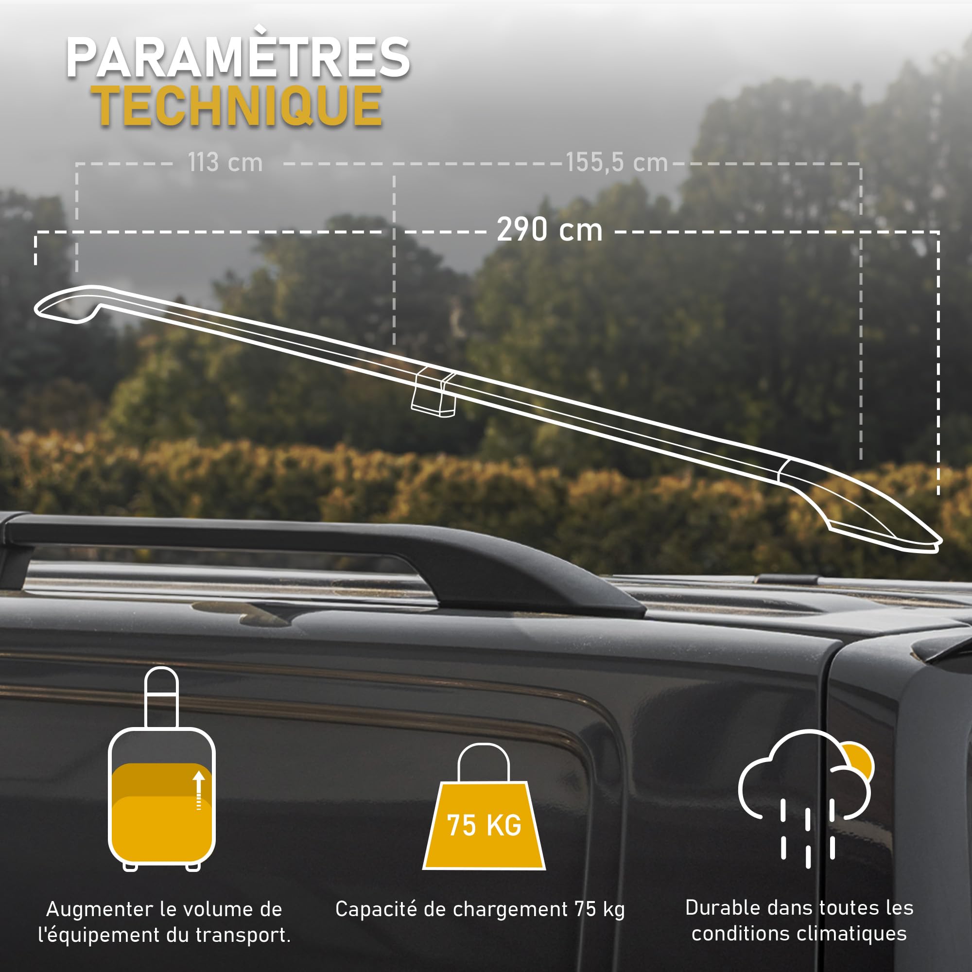 CHROMEMASTER | Compatibles avec Renault Trafic 3 Long L2 2014+ | Les Barres de Toit | Conçus pour Le Montage de Barres de Toit, de Coffres de Toit ou de Porte-vélos | Structure en Aluminium Durable