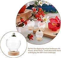 Vista 6 de HOMSFOU Retro Decor 3 piezas de cristal Cloche Bell Jar Display Dome con base de madera, mini botellas de vidrio, cúpula de vidrio transparente