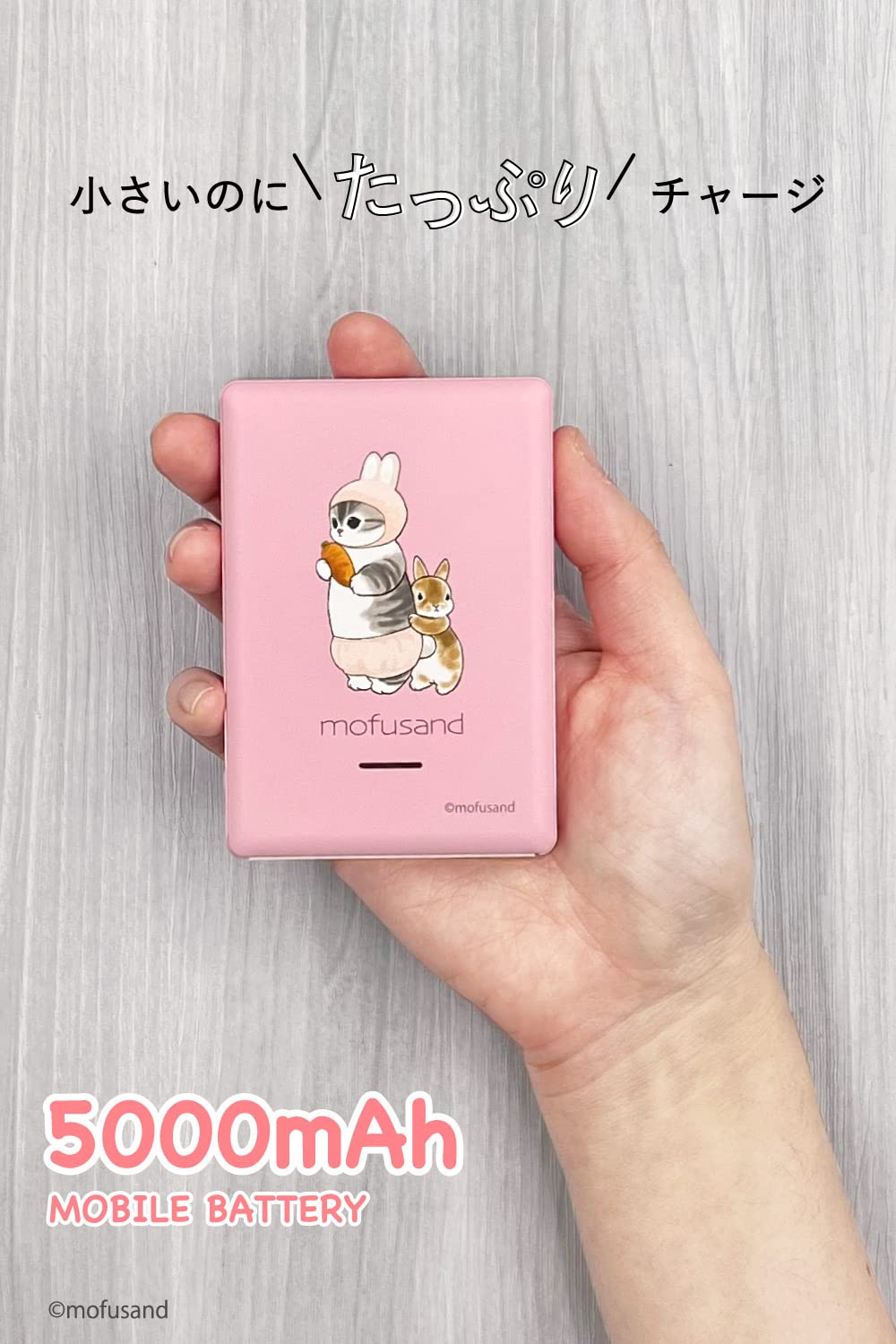 ❤️箱付き❤️動作品 SZ-16など2台セット☆今はバッテリー付き 