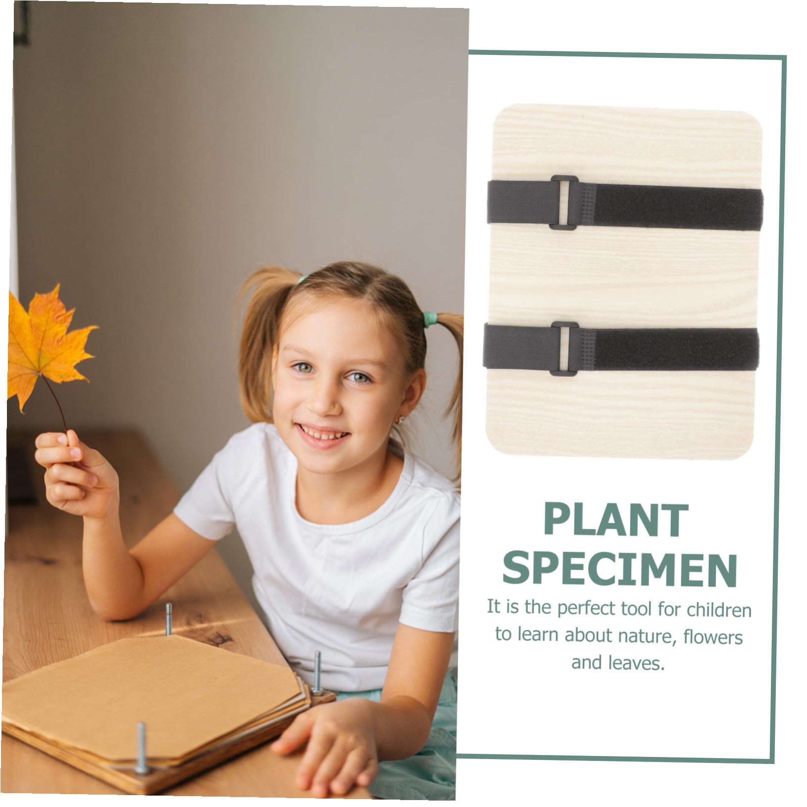 HEALSOPTHY Kit Pressa per Fiori e Foglie Strumenti per Creazione di Esemplari Vegetali Pressa Multistrato in Legno per Fiori Secchi Foglie e Frutta Adatta per Artigianato Decorazioni e