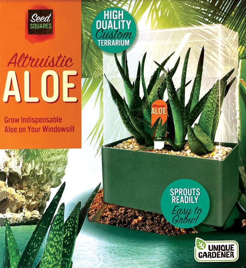 Amazon.com : Grow Your Own Aloe Plant - Nurture Your Own