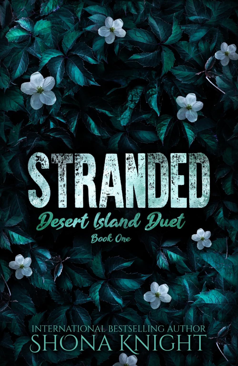 Stranded (Desert Island Duet)