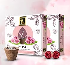 Zed Black Rose Premium Sambrani Cups Sambrani Dhoop Cup Box - Long Lasting Pleasing Aroma Dhoop Cone for Puja for Everyday Use - Pack of 2 (2)
