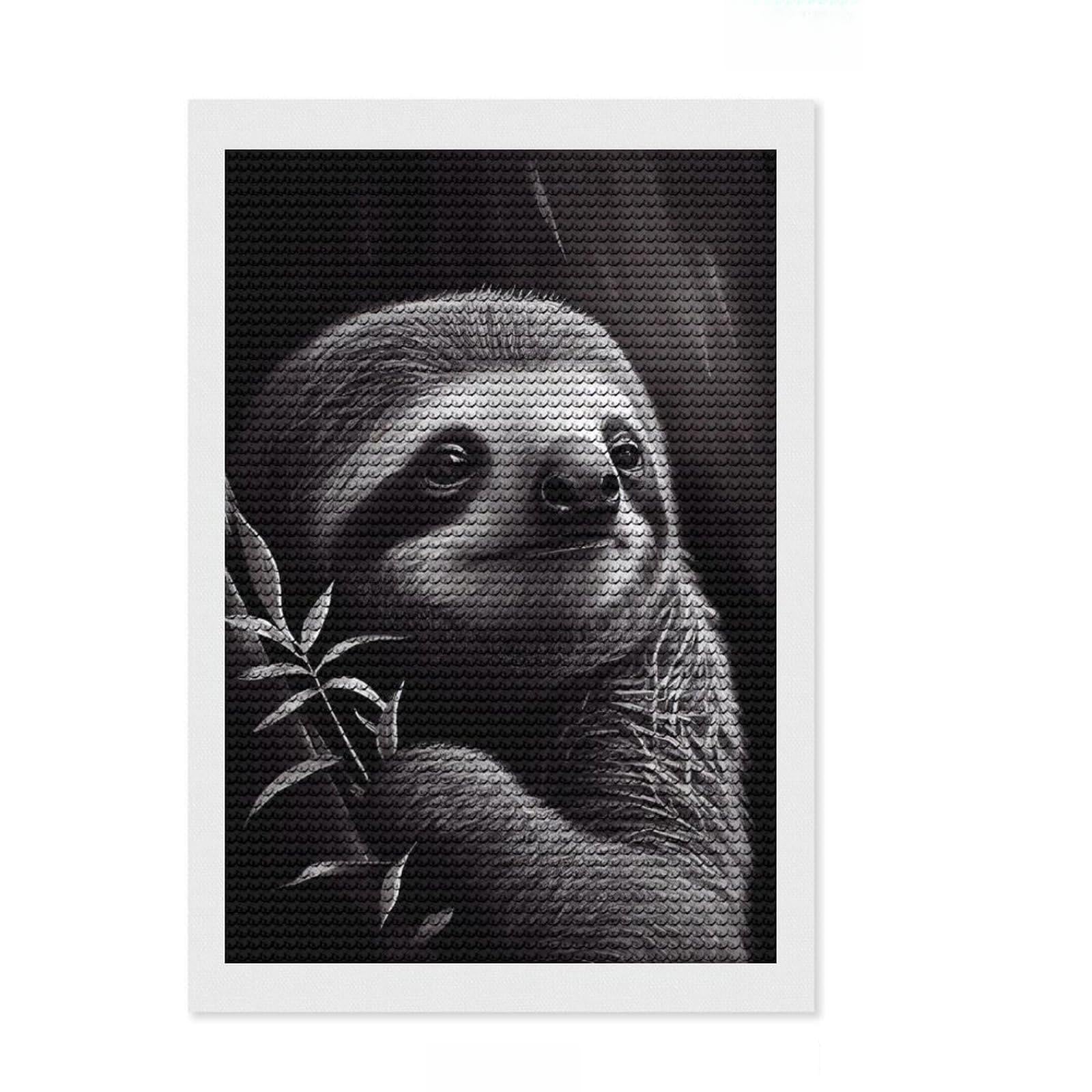 Junmoney Sloth Drawn Diamond Art Kit 8"x12", Satisfying Creative Project, Printed Canvas, Home Wall Decor, Birthday Gift, with Tool Kit